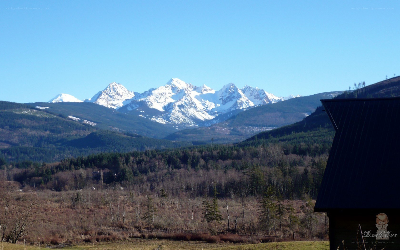Snow-capped mountains in forested valley