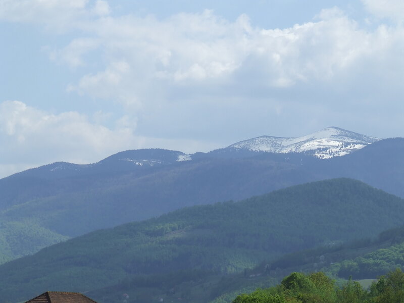 Snow-capped mountains in the distance