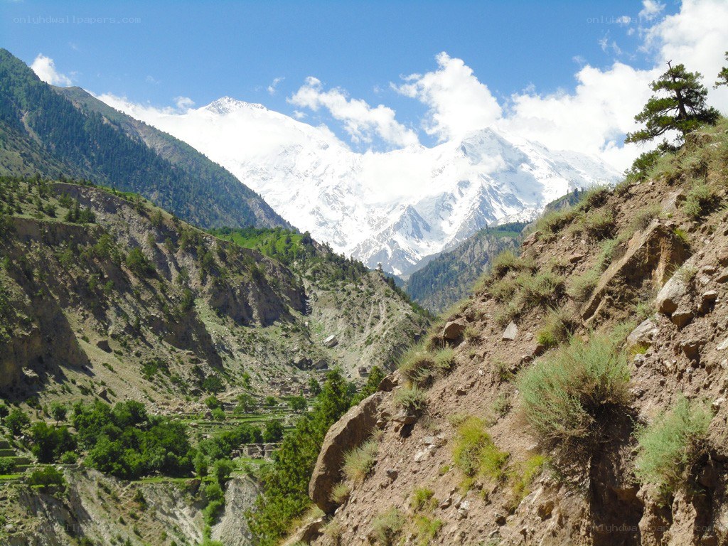 snow-capped mountains in valley