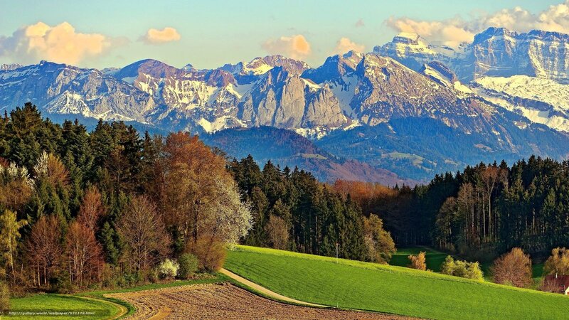 Snow-capped Mountains Landscape — Green, Serene, Afternoon
