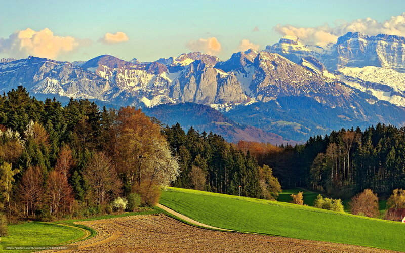 Snow-capped Mountains Landscape — Green, Serene