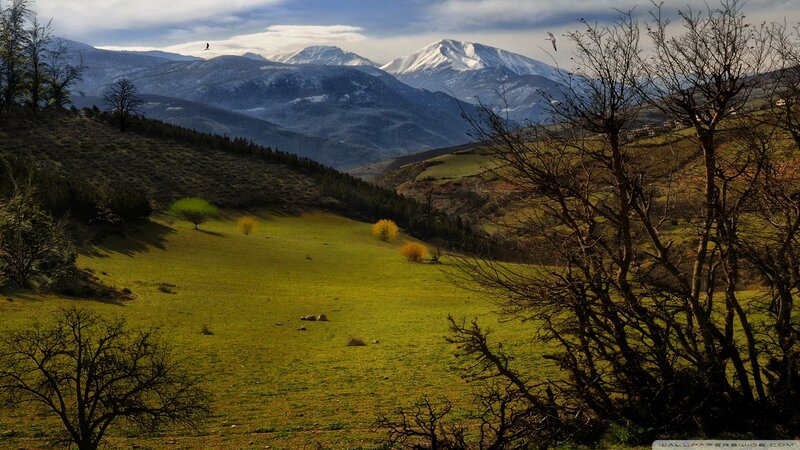 Snow-capped Mountains Landscape — Green