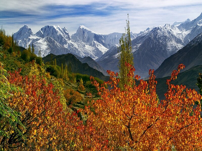 Snow-capped Mountains — Orange