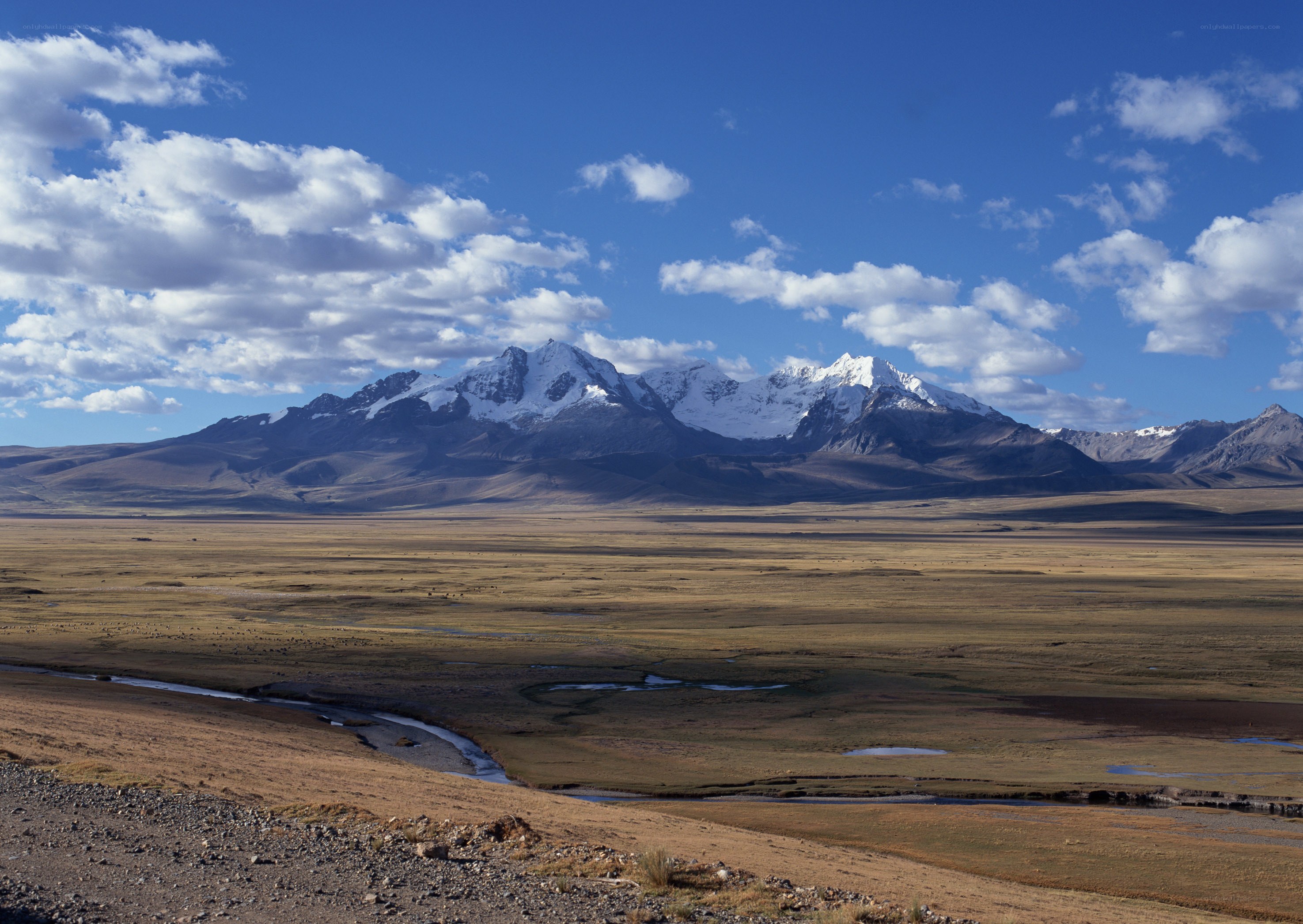 Snow-capped mountains over a vast plain