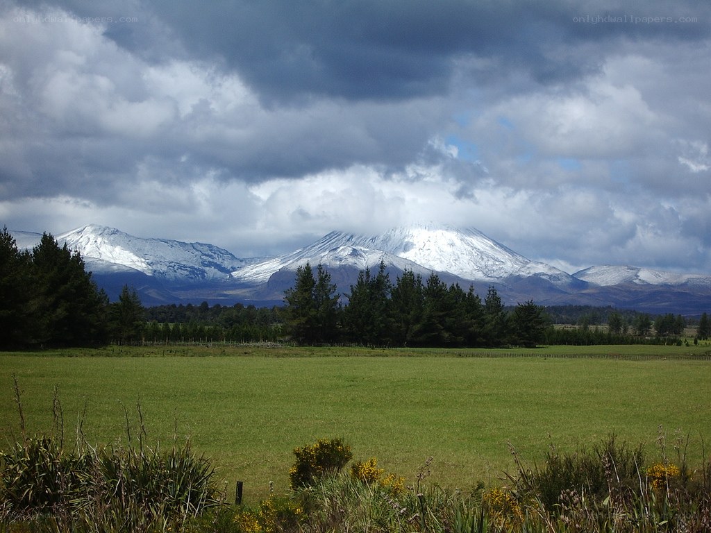 Snow-capped mountains over green fields