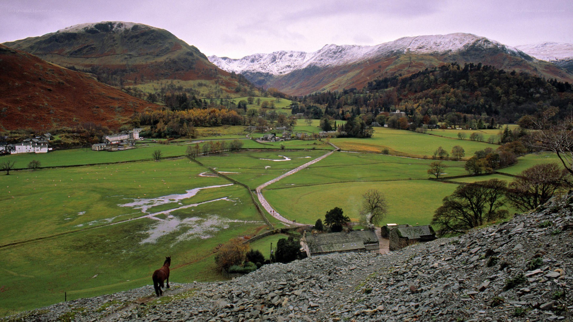 snow-capped mountains over green valley