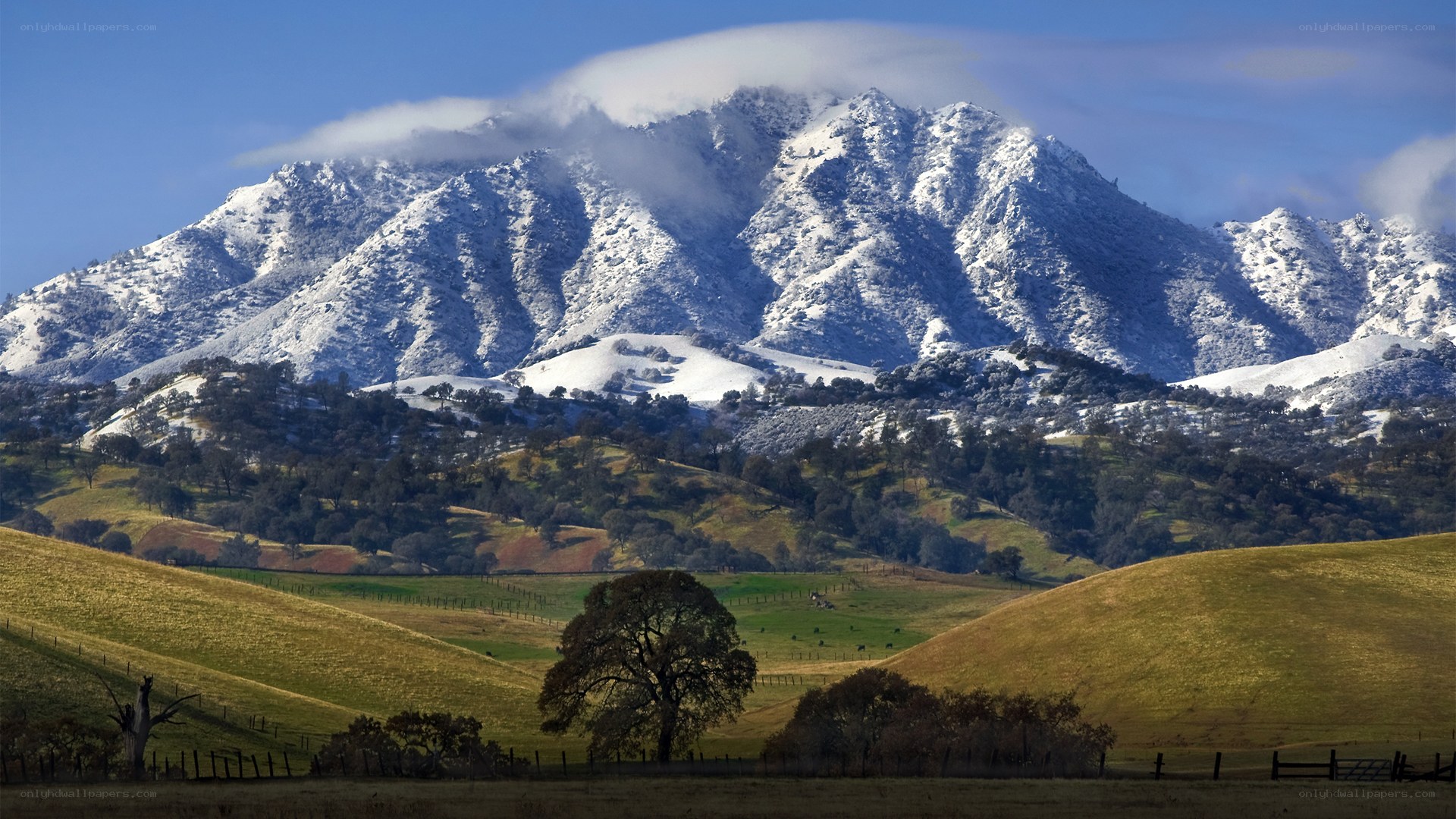 Snow-capped mountains over rolling hills