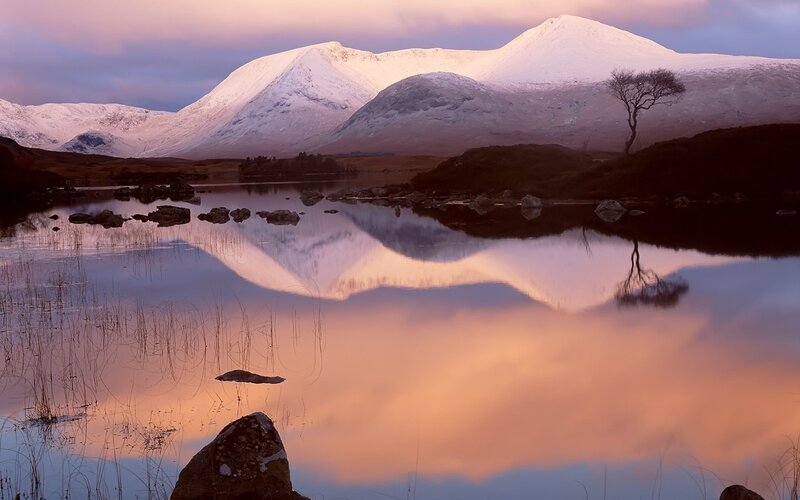Snow-capped Mountains — Pink, Serene, Sunset, Photograph, Lake, Tree