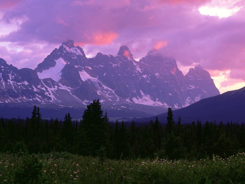 Snow-capped Mountains — Purple, Dramatic, Sunset, Photograph, Forest, Sky, Flowers