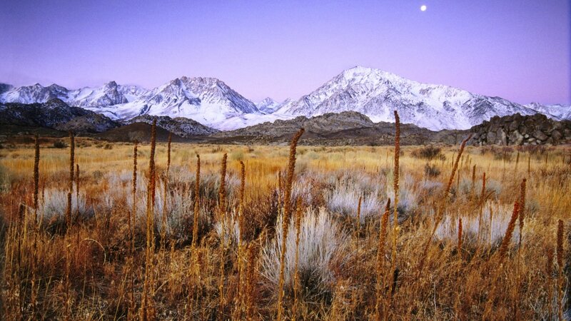 Snow-capped Mountains — Purple, Serene, Night
