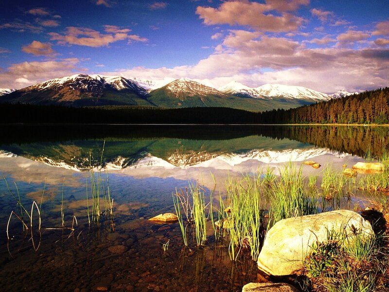 Snow-capped Mountains — Reeds