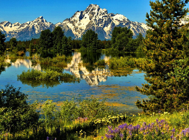 Snow-capped Mountains Reflection — Blue