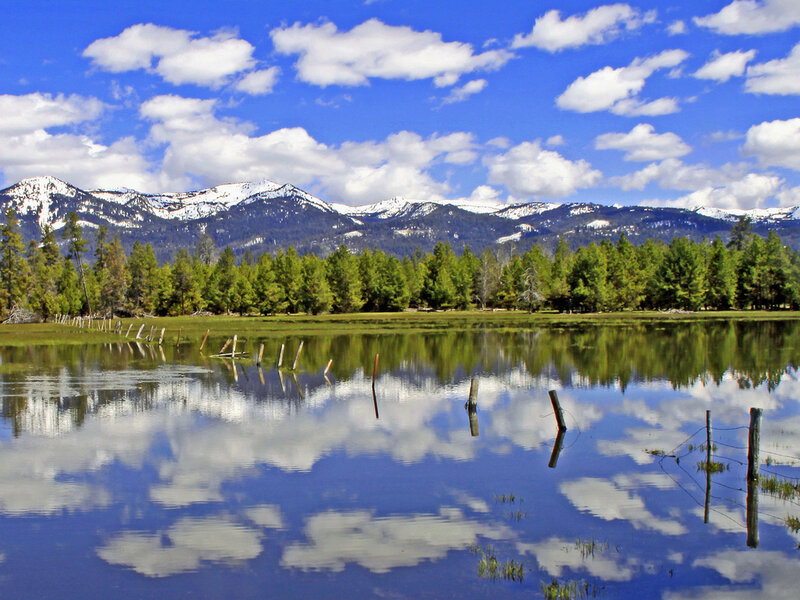 Snow-capped Mountains — Trees, Lake