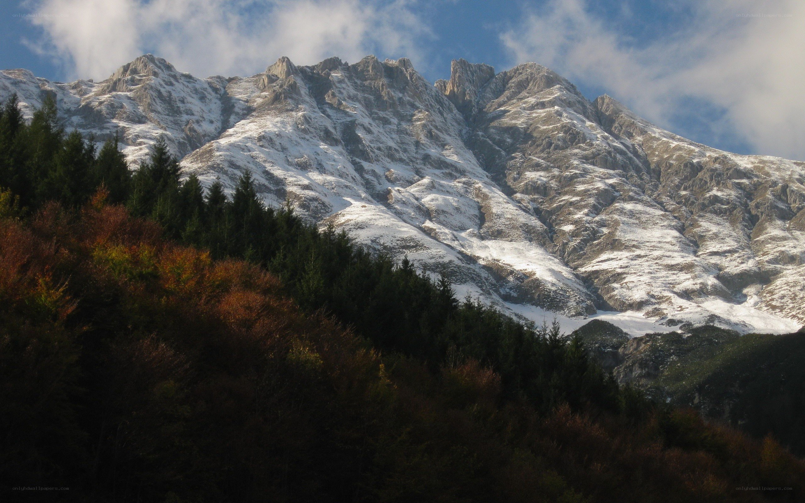 Snow-capped mountains with autumn forest