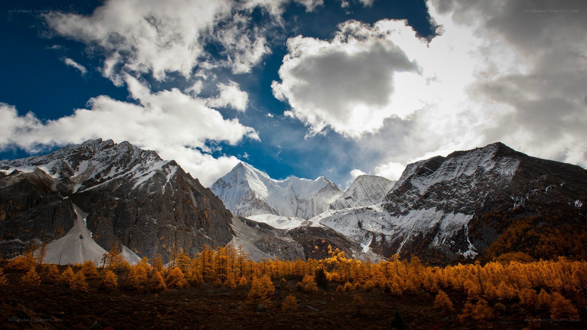 Snow-capped mountains with autumn forest