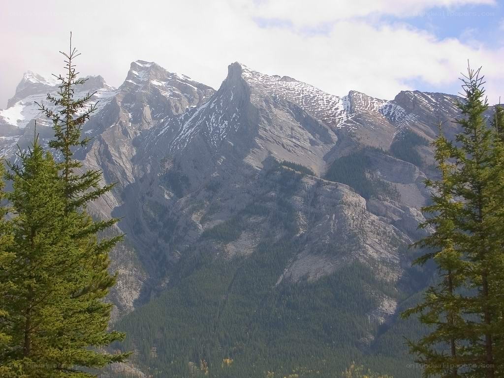 Snow-capped mountains with evergreens