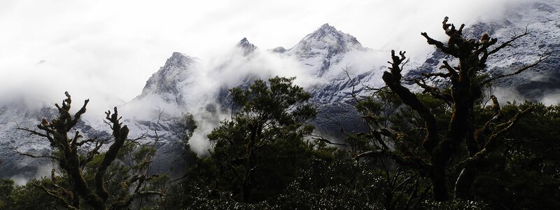 snow-capped mountains with fog