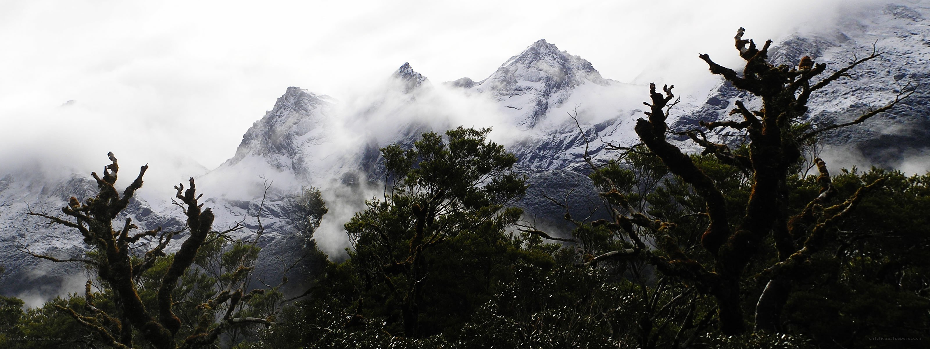 snow-capped mountains with fog
