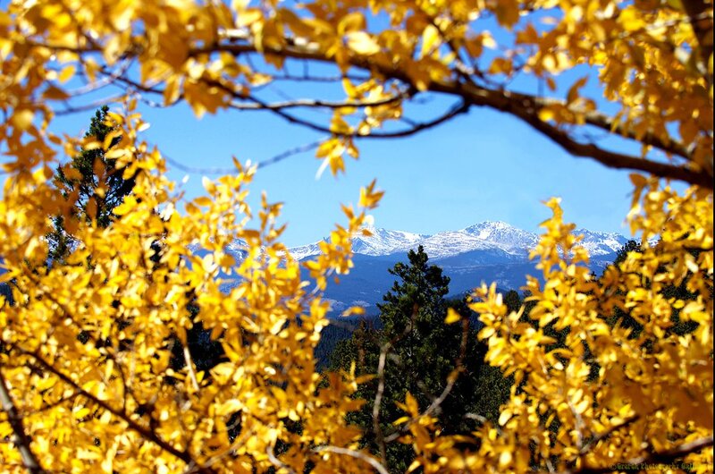 Snow-capped Mountains — Yellow, Serene, Autumn, Photograph