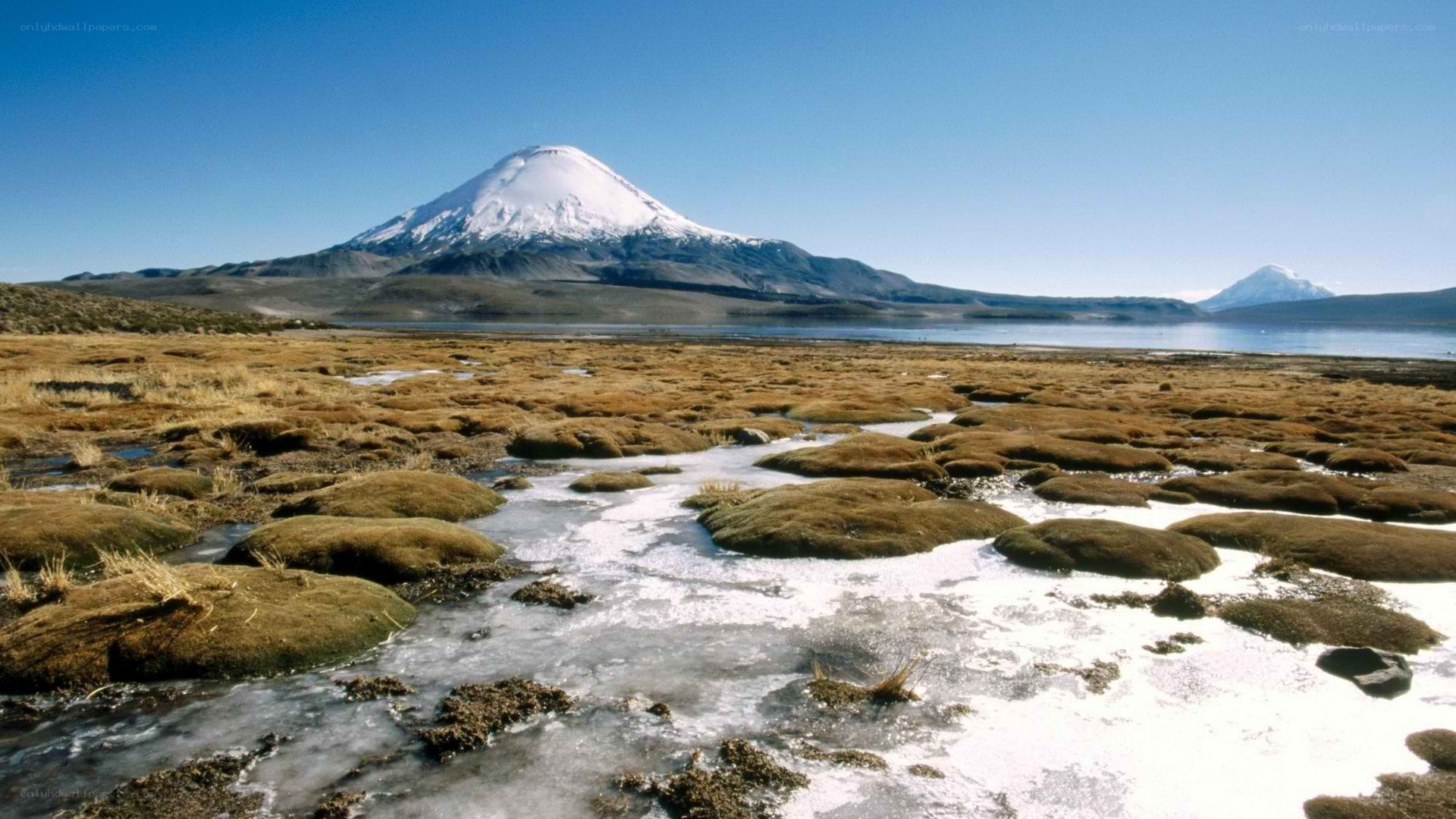 Snow-capped volcano and wetlands