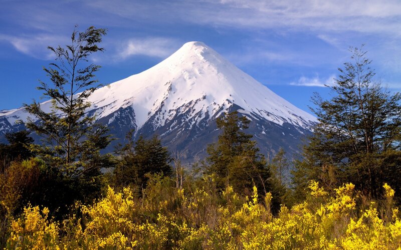 Snow-capped Volcano — Blue, Serene, Afternoon, Photograph, Trees, Flowers
