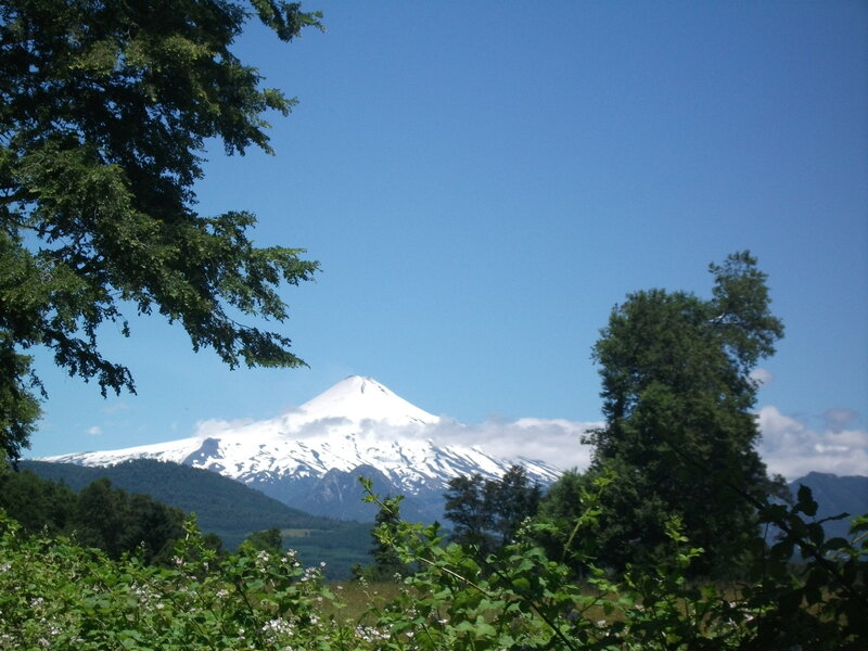 Snow-capped Volcano — Blue, Serene, Afternoon, Photograph, Trees