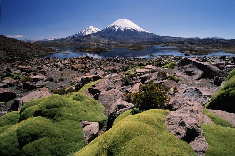 Snow-capped volcanoes and mossy rocks