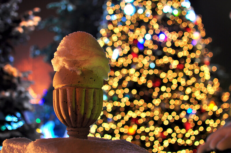 Snow-covered Acorn Sculpture