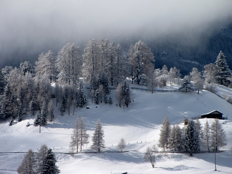 Snow-covered Alpine Village — White, Serene, Winter, Photograph, Trees