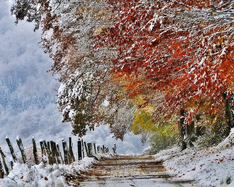 Snow-covered Autumn Path — Red, Serene, Photograph