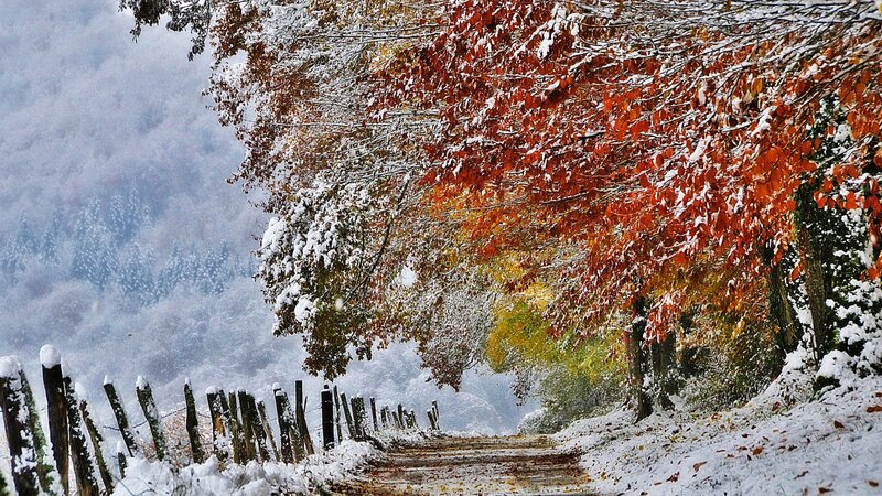 Snow-covered Autumn Path — Red, Serene