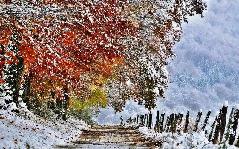 Snow-covered Autumn Path — Red