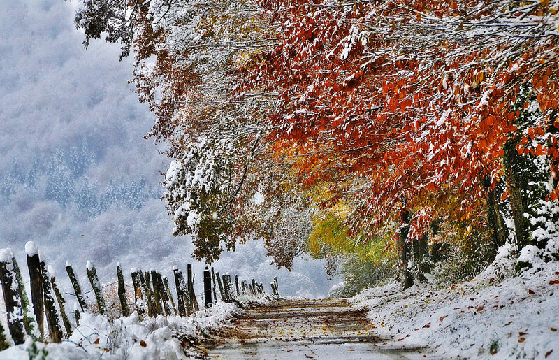 Snow-covered Autumn Path