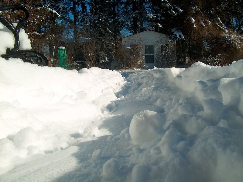 Snow-covered backyard path