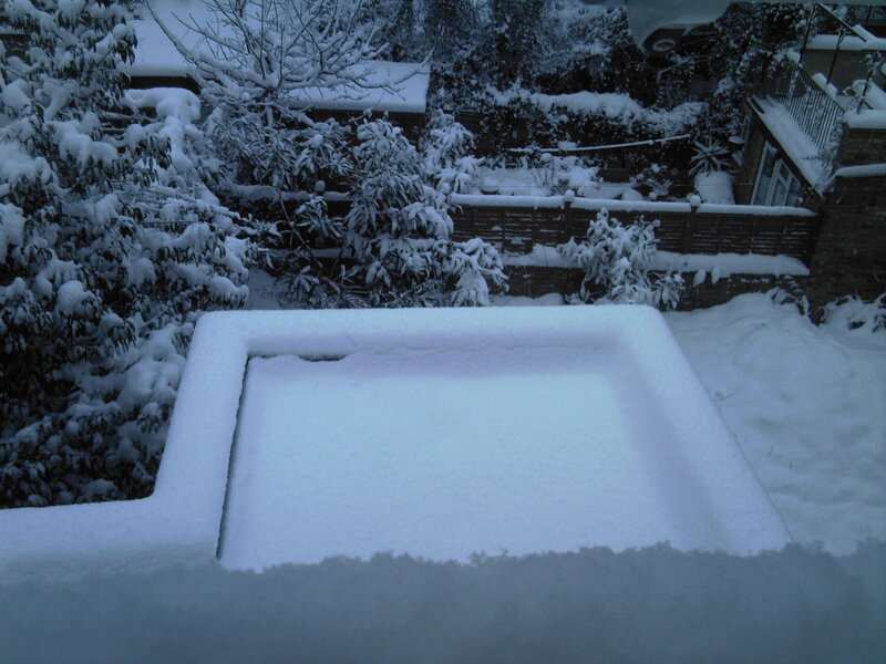 Snow-covered backyard scene