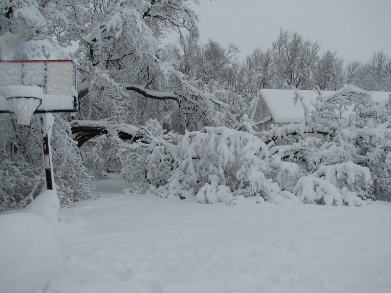 Snow-covered backyard scene