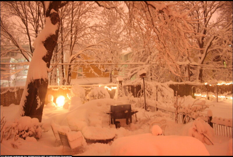 Snow-covered Backyard