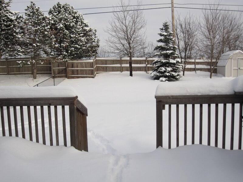 snow-covered backyard view