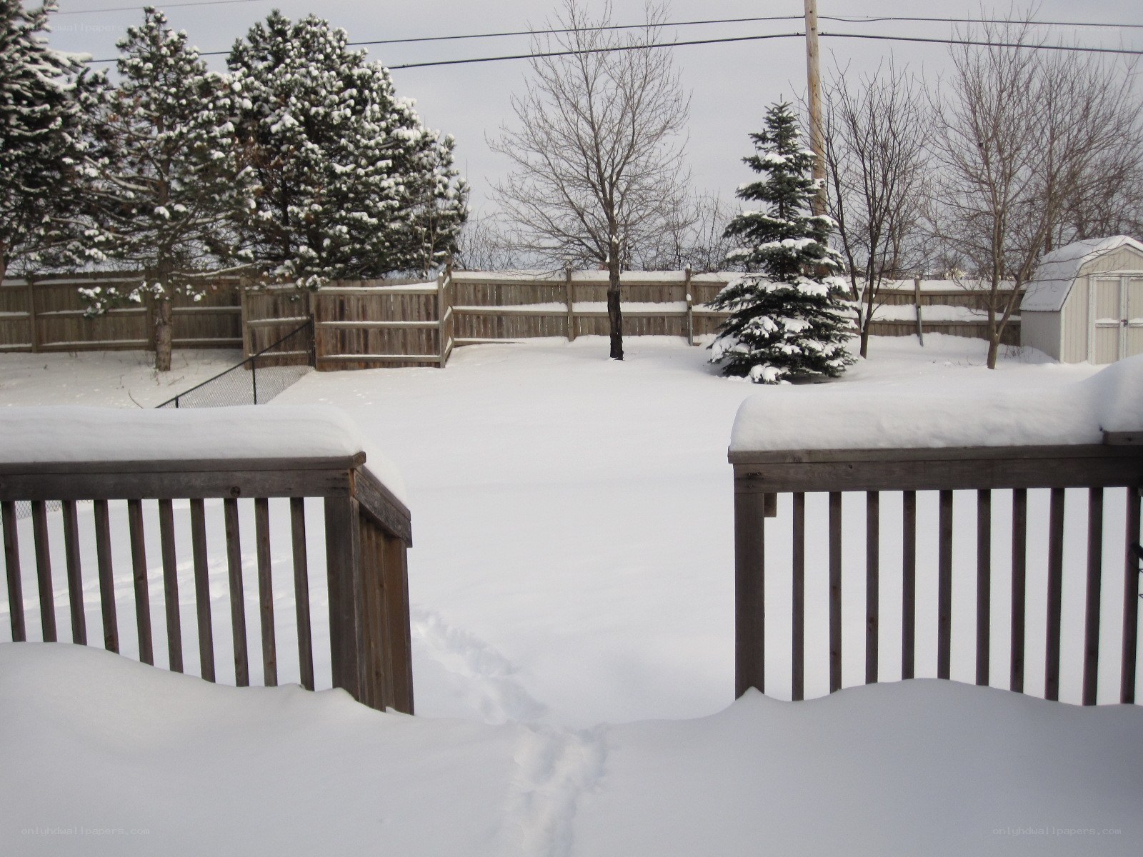 snow-covered backyard view