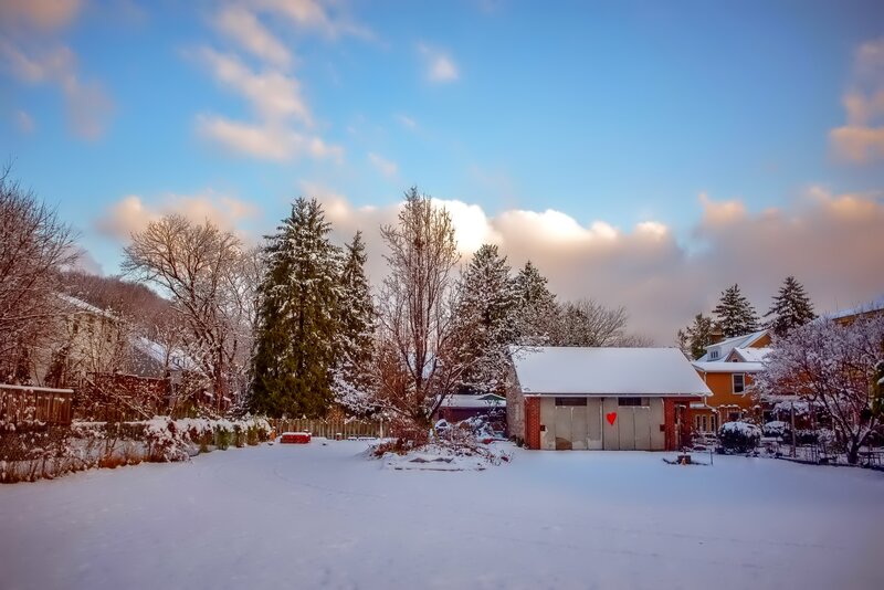 Snow-covered Backyard — White, Serene