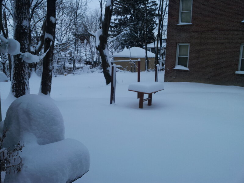 Snow-covered Backyard — White