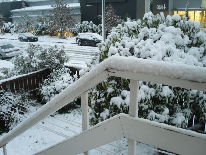 Snow-covered balcony view