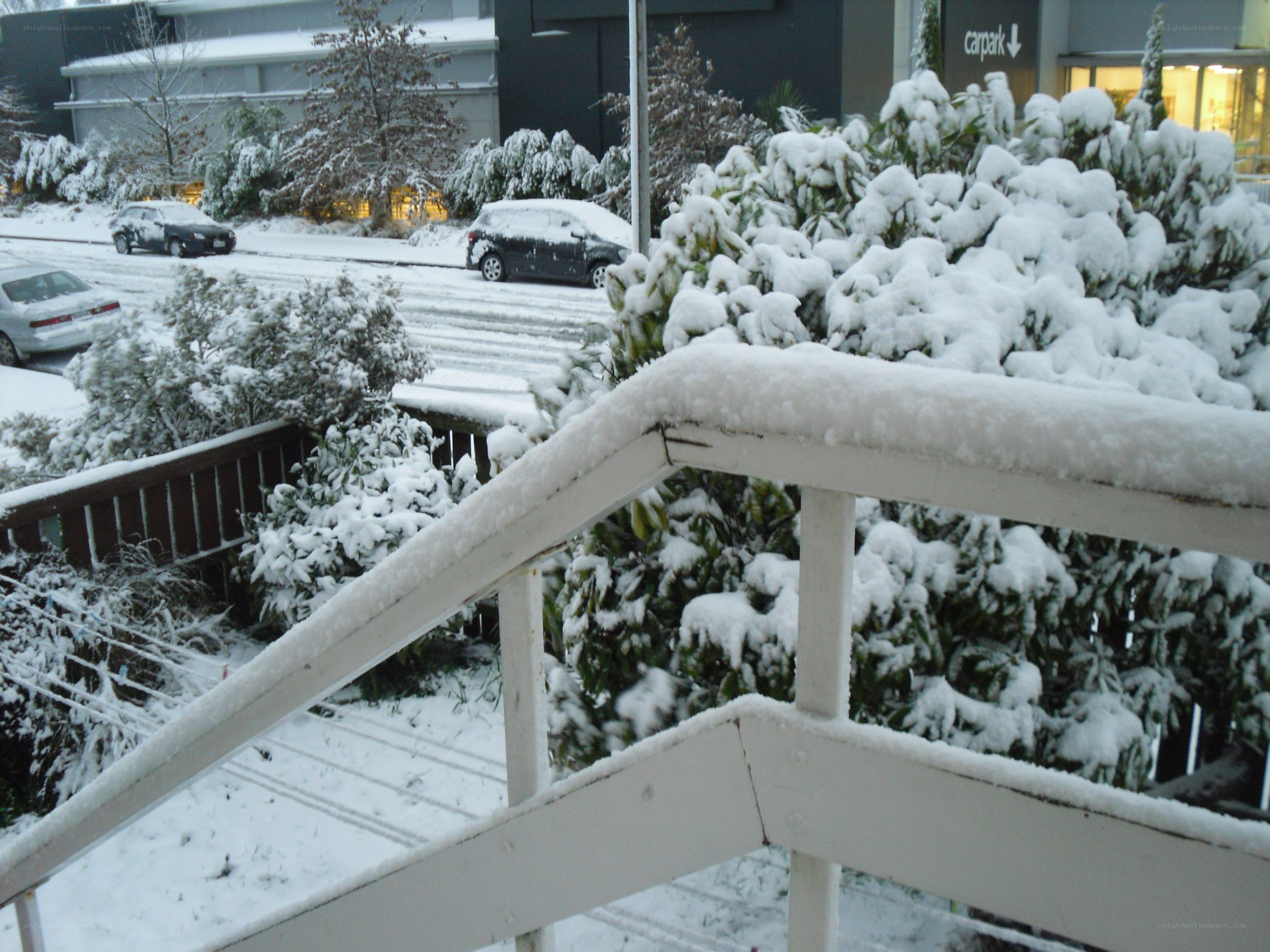 Snow-covered balcony view