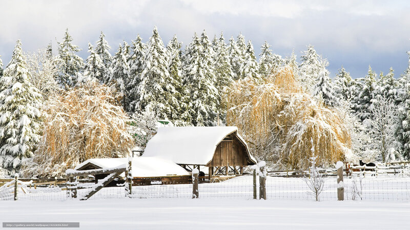 Snow-covered Barn — White, Serene, Winter