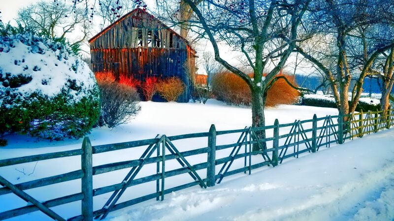 Snow-covered Barn — White