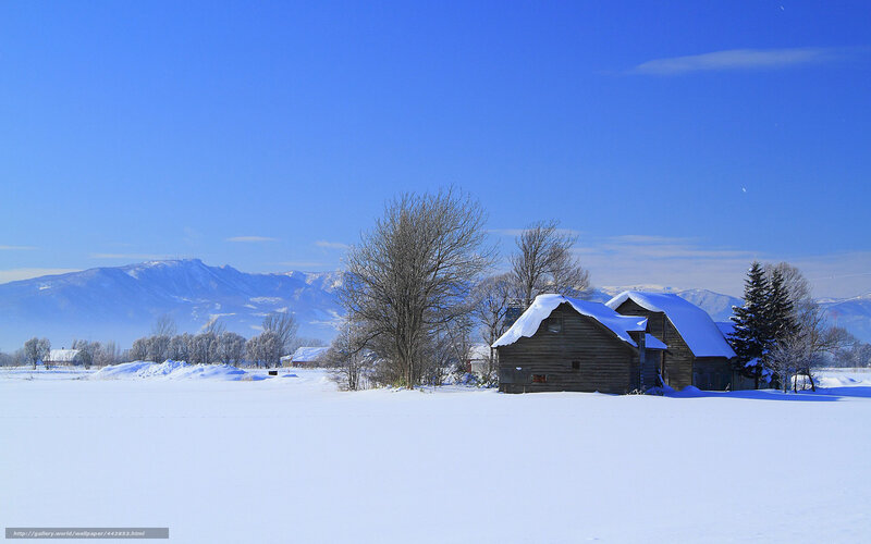 Snow-covered Barns