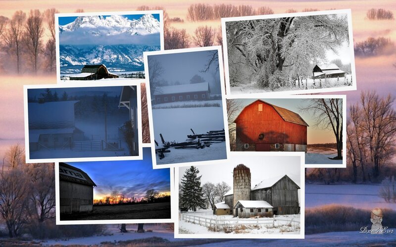 Snow-covered Barns — White