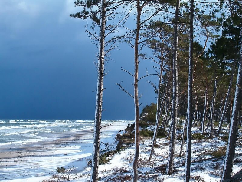 Snow-covered Beach — Blue, Dramatic