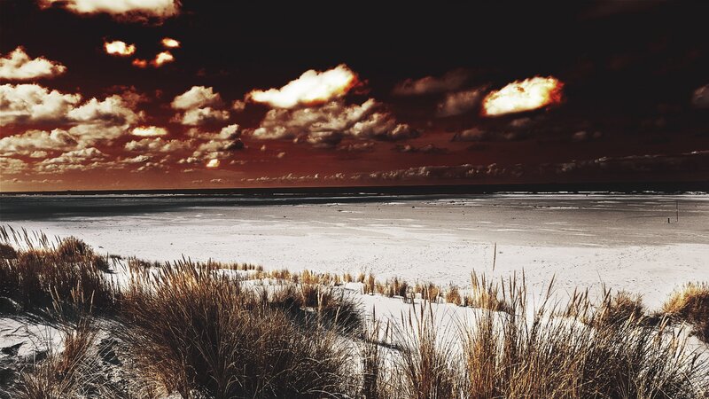 Snow-covered Beach Dunes