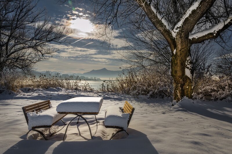 Snow-covered Bench and Table — White